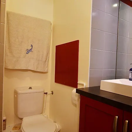 3 Pieces, 2 Salles De Bains, Acces Direct Aux Pistes - Fr-1-455-46 Apartman La Plagne