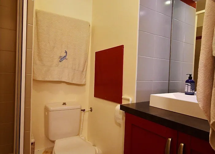 3 Pieces, 2 Salles De Bains, Acces Direct Aux Pistes - Fr-1-455-46 Apartmán La Plagne